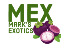 Mark Exotics
